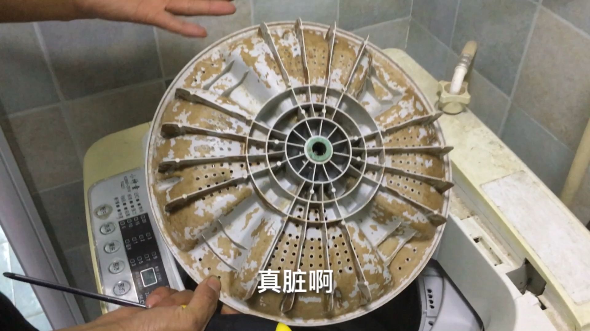 家里這些清潔工具其實比我們想象的更臟!