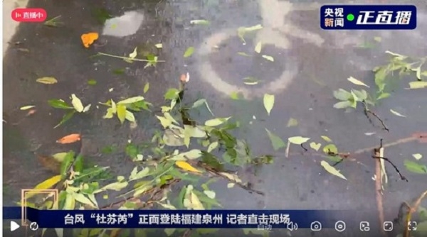 臺(tái)風(fēng)來臨前做好防御準(zhǔn)備;臺(tái)風(fēng)過后,做好環(huán)境清潔,清理地面淤泥積水!