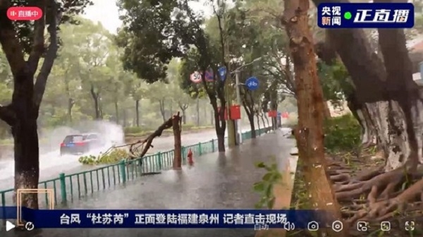 臺(tái)風(fēng)來臨前做好防御準(zhǔn)備;臺(tái)風(fēng)過后,做好環(huán)境清潔,清理地面淤泥積水!