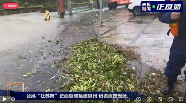臺(tái)風(fēng)來臨前做好防御準(zhǔn)備;臺(tái)風(fēng)過后,做好環(huán)境清潔,清理地面淤泥積水!