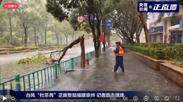臺(tái)風(fēng)來臨前做好防御準(zhǔn)備;臺(tái)風(fēng)過后,做好環(huán)境清潔,清理地面淤泥積水!