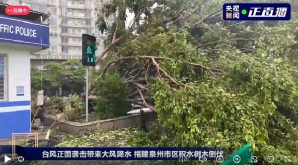 臺(tái)風(fēng)來臨前做好防御準(zhǔn)備;臺(tái)風(fēng)過后,做好環(huán)境清潔,清理地面淤泥積水!