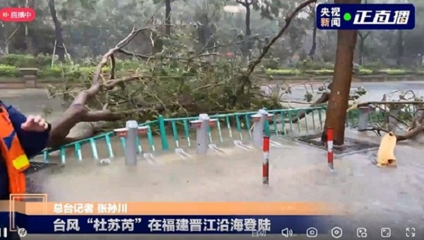 臺(tái)風(fēng)來臨前做好防御準(zhǔn)備;臺(tái)風(fēng)過后,做好環(huán)境清潔,清理地面淤泥積水!