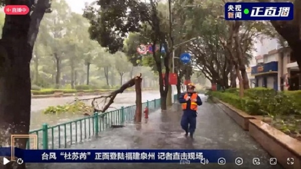 臺(tái)風(fēng)來臨前做好防御準(zhǔn)備;臺(tái)風(fēng)過后,做好環(huán)境清潔,清理地面淤泥積水!